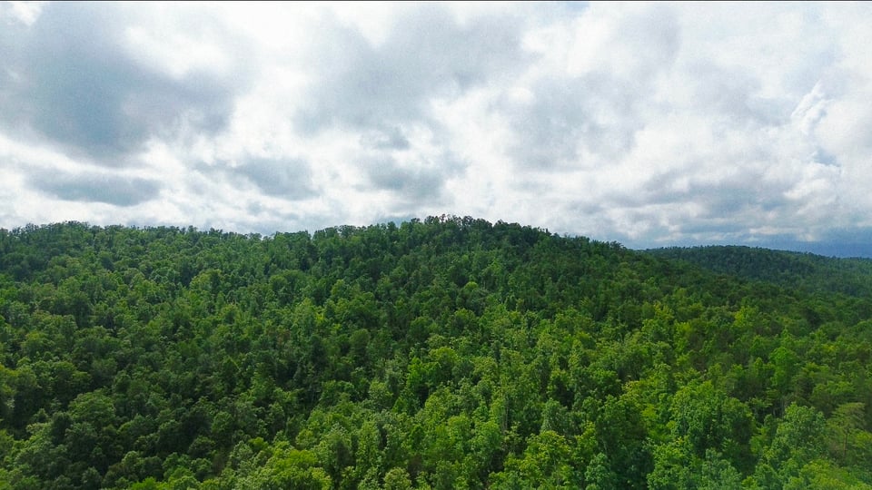 Hunting land - 108 acres, Monticello, Kentucky ***UPDATED PRICING AGAIN***