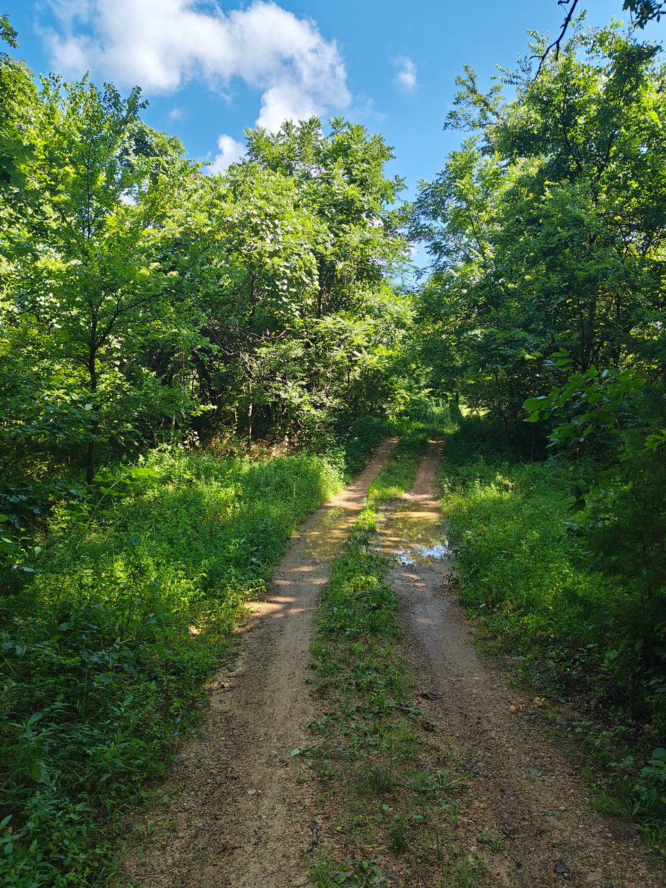160 acres for lease in Shannon