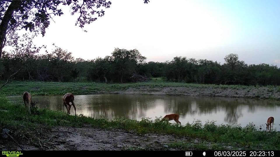 Gonzales, Texas hunting land