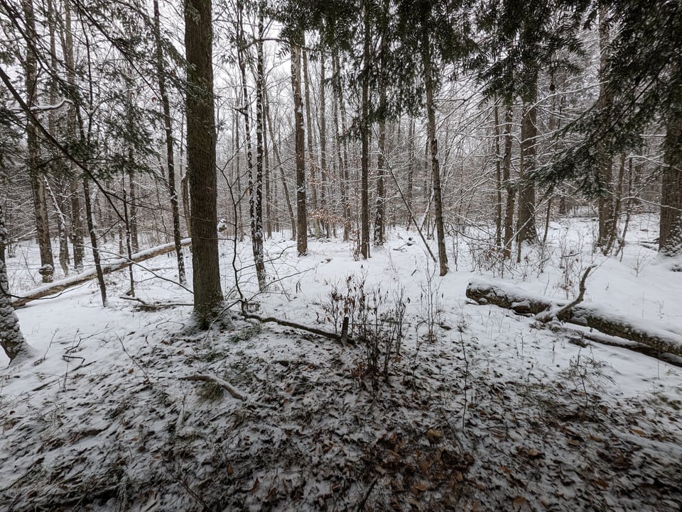 Excellent hunting opportunity Tioga, New York
