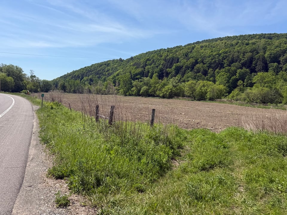 Now leasing 70 acres Steuben, New York