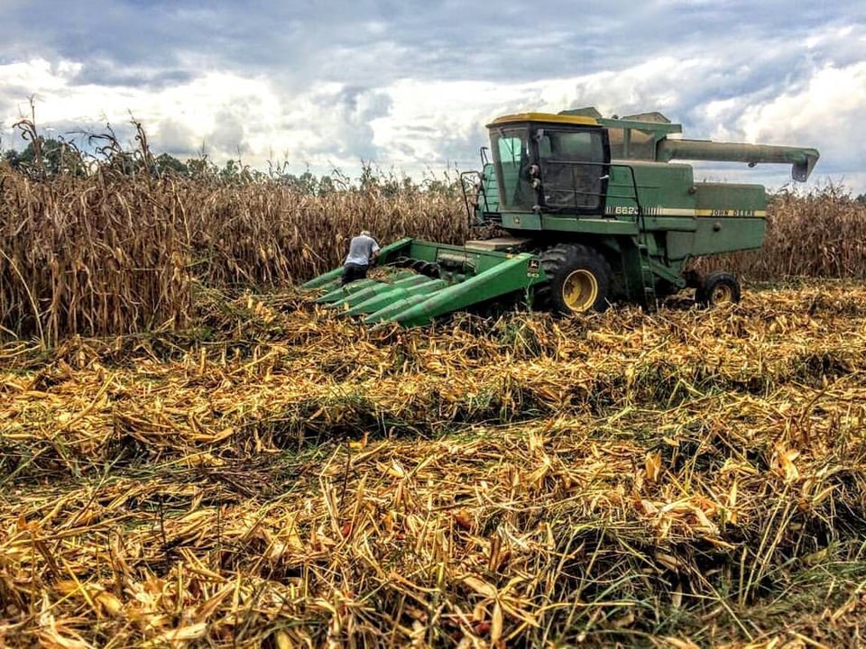 100 acres for lease in Perry