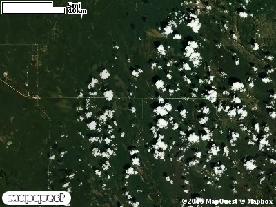 Seney Manistique Swamp
