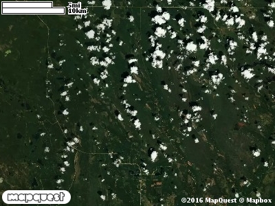 Seney Manistique Swamp