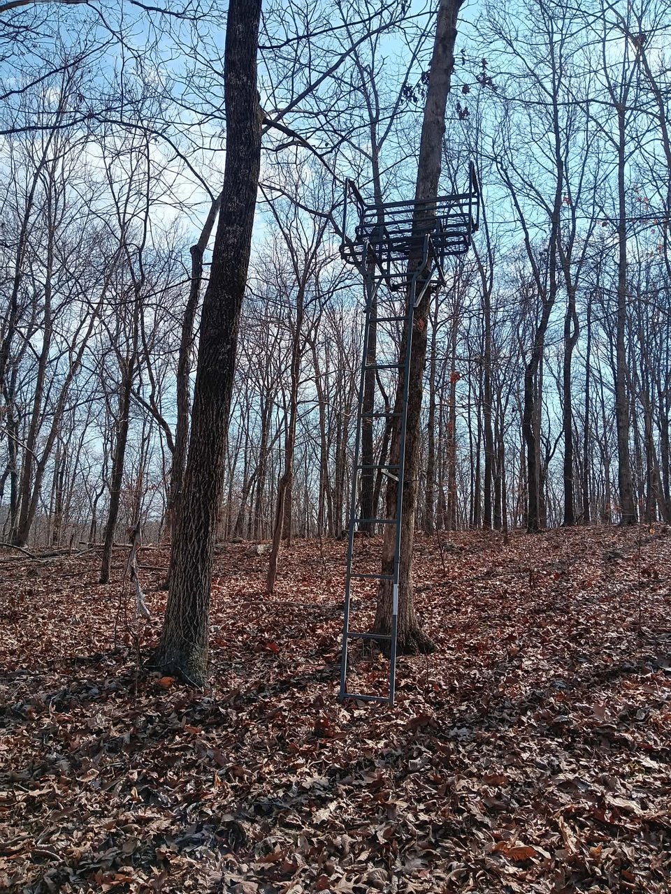 Zalma hunting land for lease