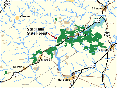 Sandhills State Forest WMA