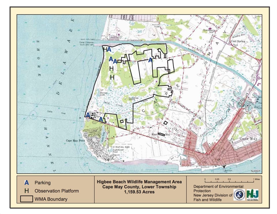 Higbee Beach Wildlife Management Area