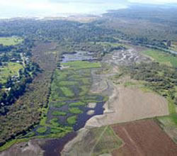 Nooksack Unit