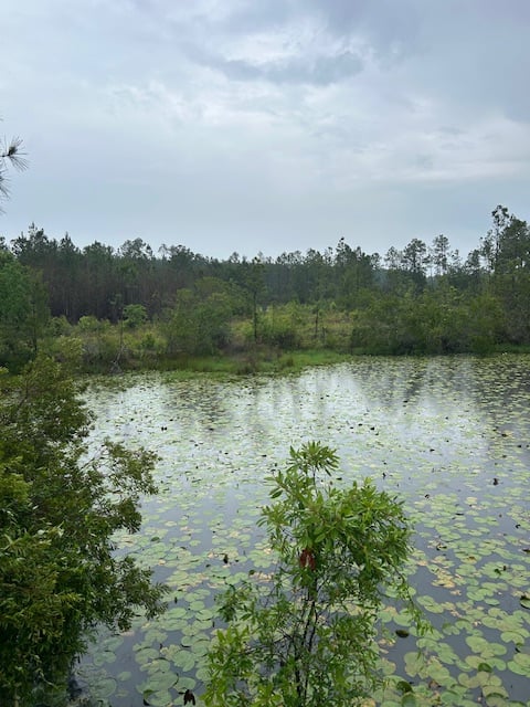 Yulee hunting land for lease