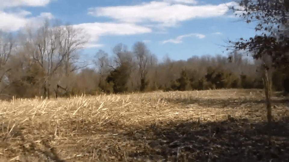 Excellent hunting opportunity Graves, Kentucky