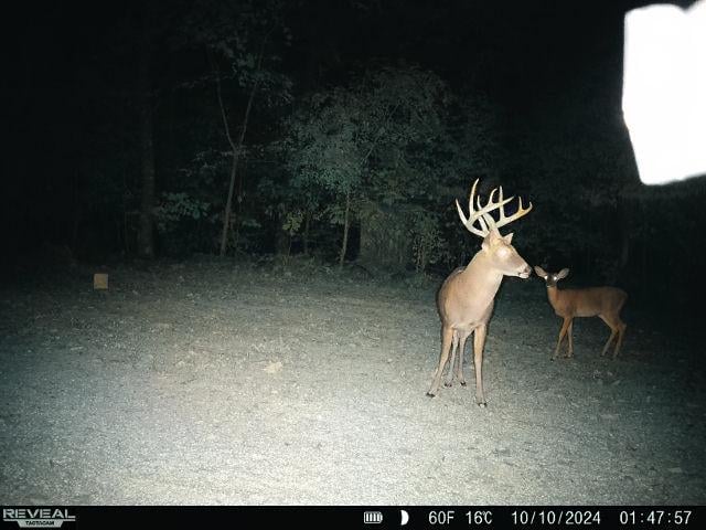 Hunting land available in Madison Co.
