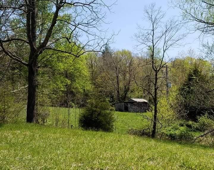 58 acres - Henry, Virginia