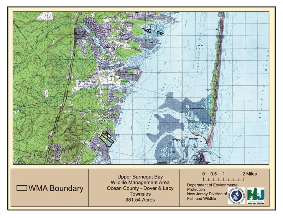 Upper Barnegat Bay Wildlife Management Area - South