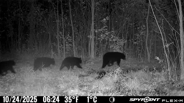 Beautiful. 200 in Ontonagon, Michigan