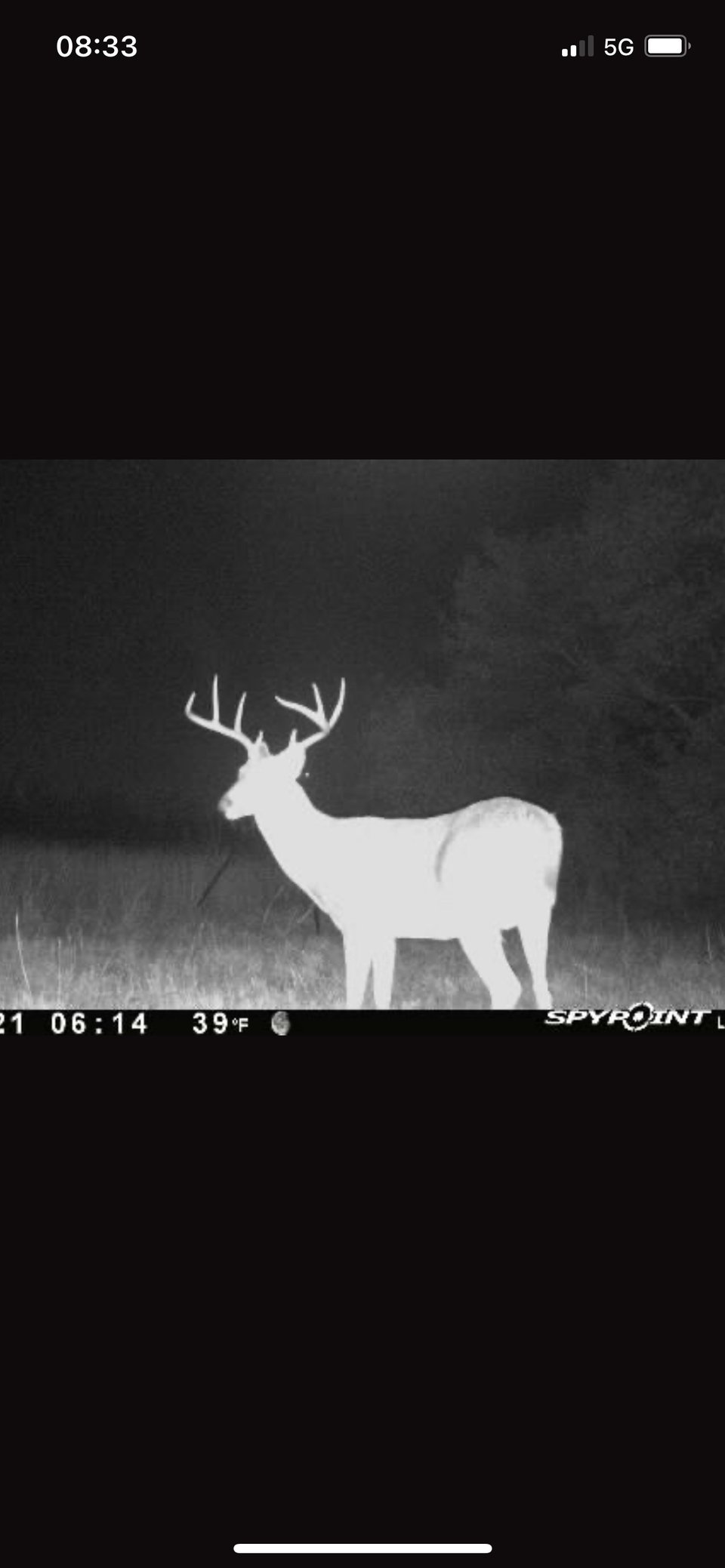 40 acres - Wapanucka, Oklahoma