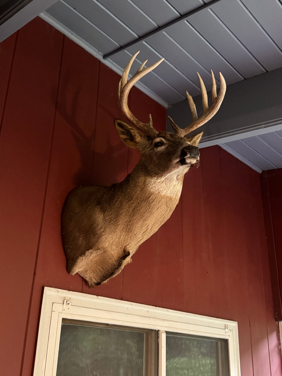 Hunting land - 186 acres, Lansing, Iowa Lodging Available!