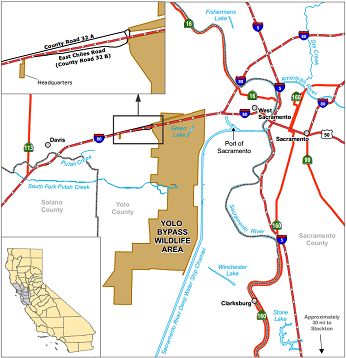 Yolo Bypass Wildlife Area
