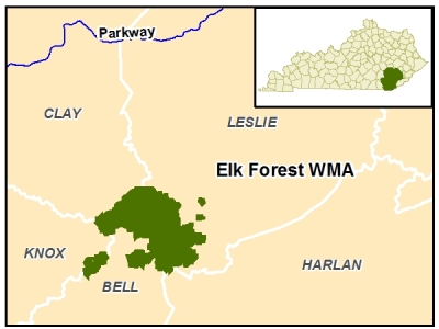 Elk Forest WMA
