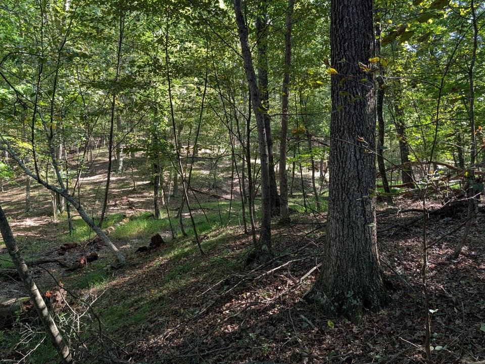 Hunting land in West Virginia