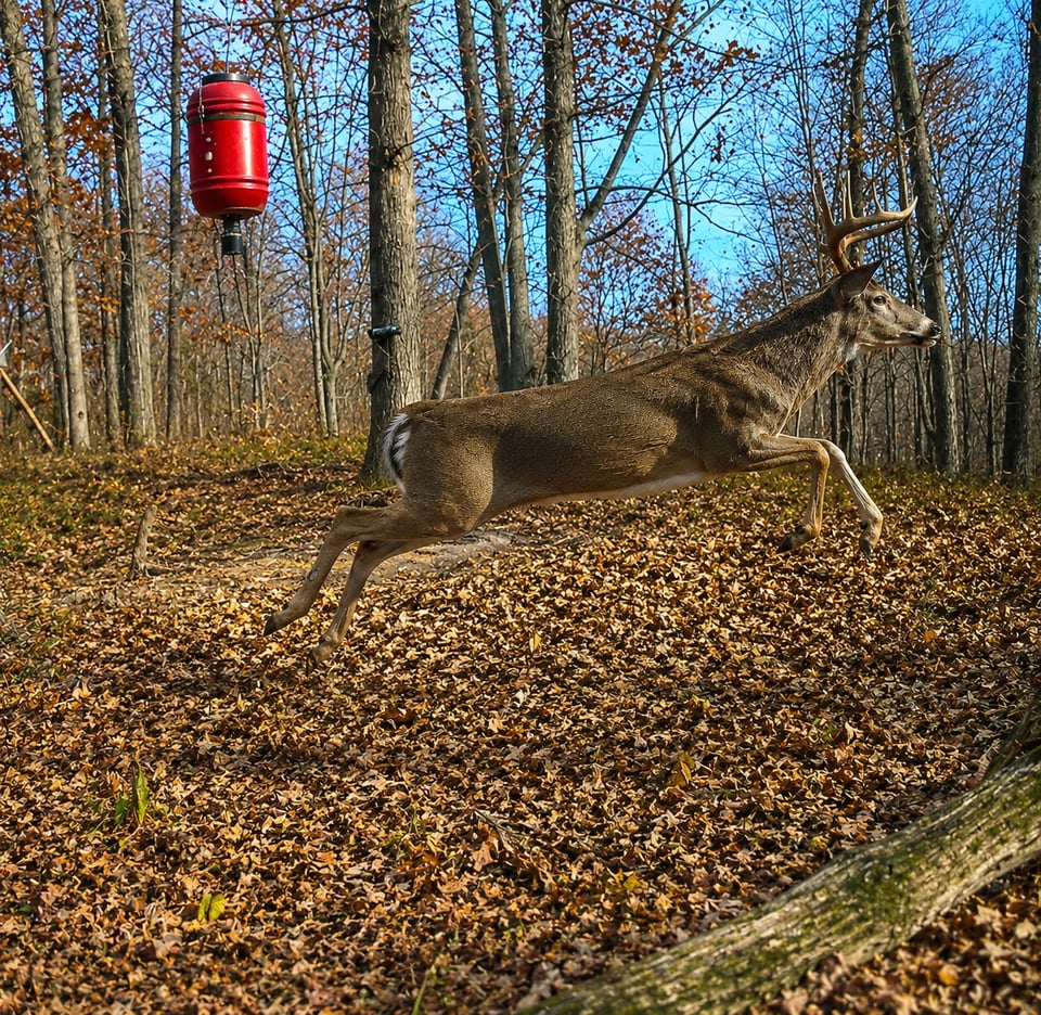 Kenna , West Virginia hunting land