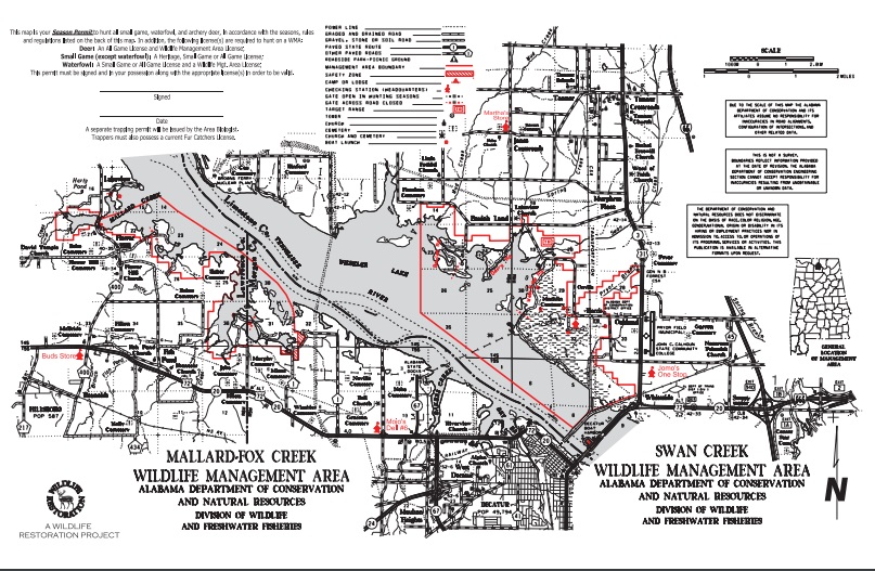 Swan Creek and Mallard Fox