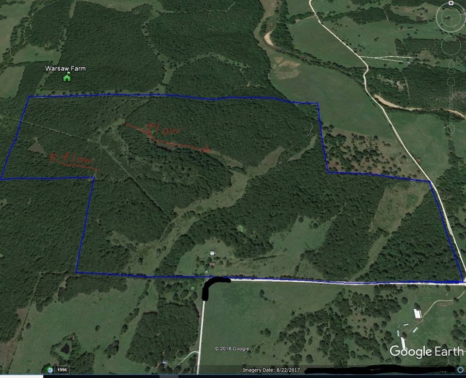 Wild, overgrown. Deer, Turkey, Feral pig, 240 acres in Benton County, MO