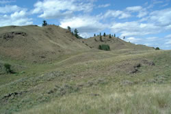 Scotch Creek Unit