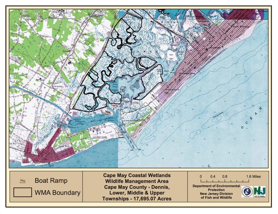 Cape May Coastal Wetlands Wildlife Management Area