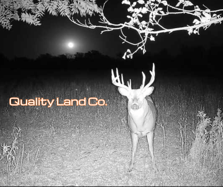Bow Lease for Trophy Hunters