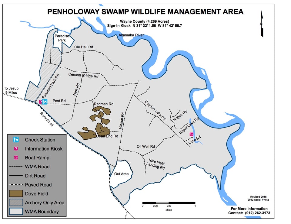 Penholoway Swamp