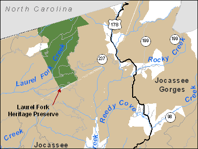 Laurel Fork Heritage Preserve/Wildlife Management Area