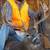 Hunting land - 40 acres, Broken Bow , Oklahoma