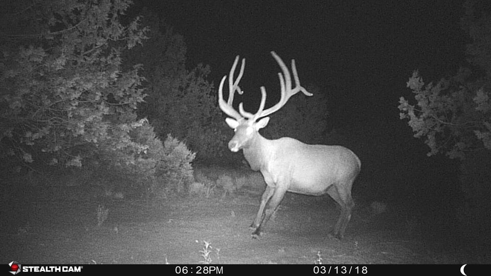 Excellent hunting opportunity Coconino, Arizona