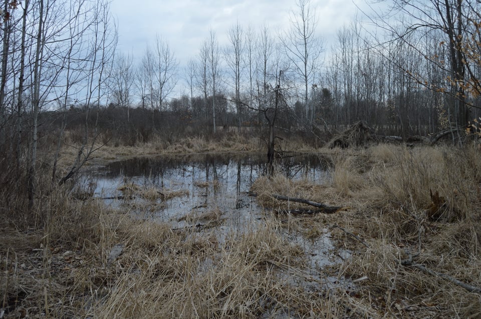 Excellent 44 acres in Isabella County