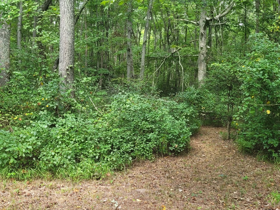 Camden Wyoming hunting land for lease