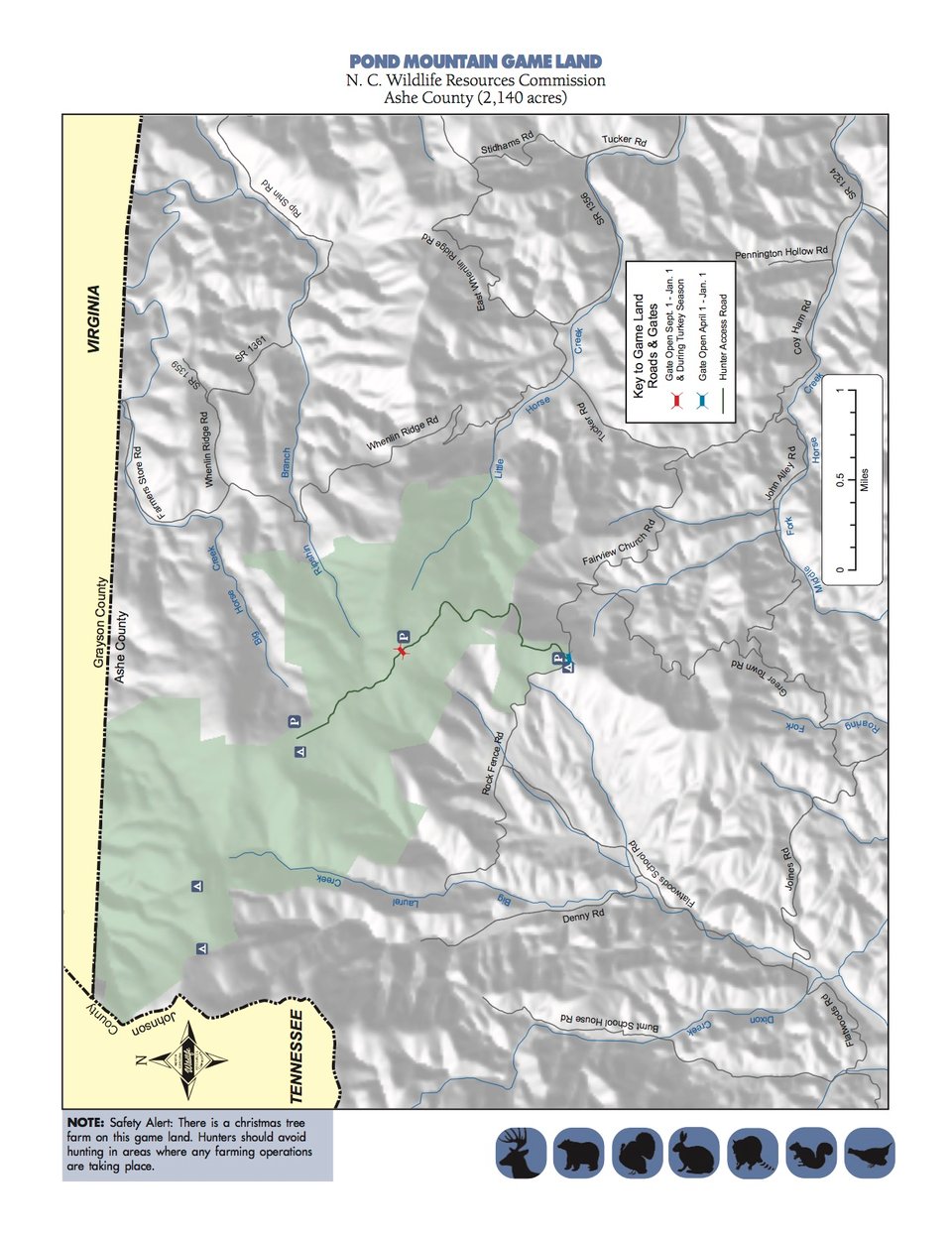 Pond Mountain Game Land