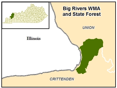 Big Rivers WMA and State Forest