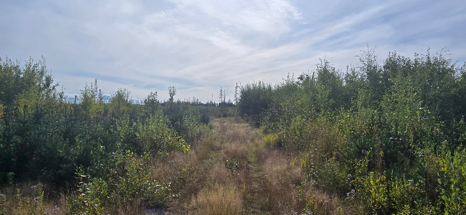 565 acres for lease in Minnesota