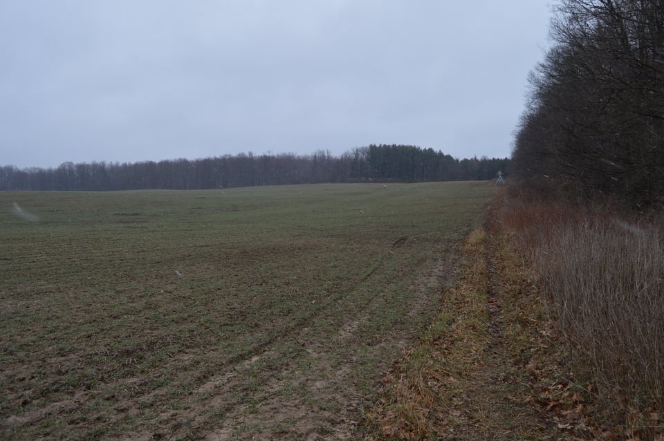 Remus  hunting land for lease