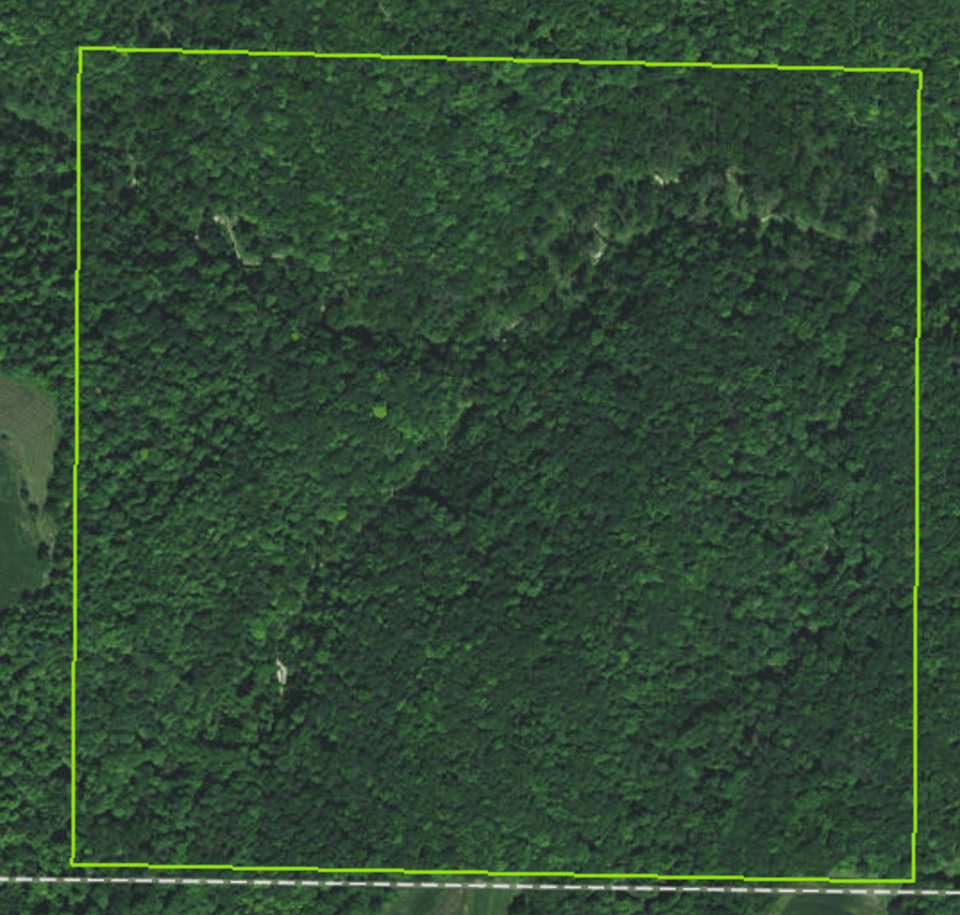 YELLOW RIVER STATE FOREST - LOST 40 UNIT