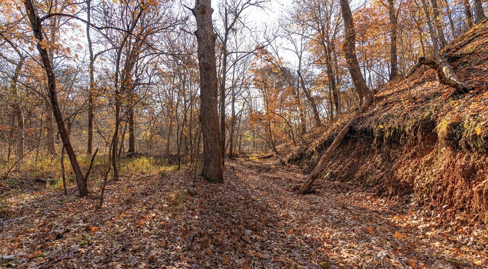 240 acres in Locust Grove for lease