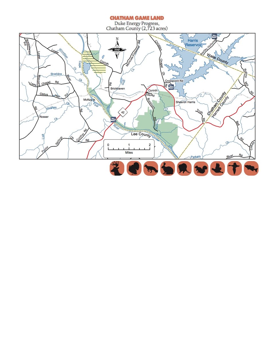 Chatham Game Land