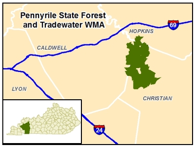 Pennyrile State Forest