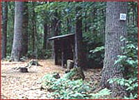 Swans Falls Campground