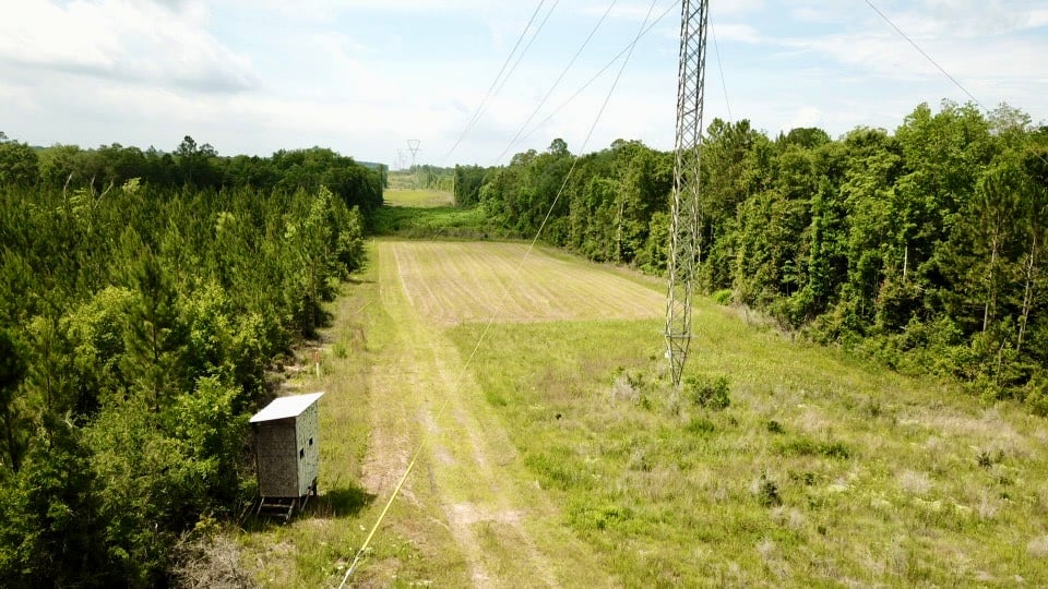 850 acres - Mount Vernon, Alabama
