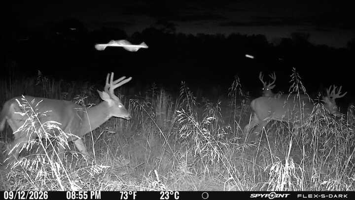 178 acres - Springfield, Kentucky