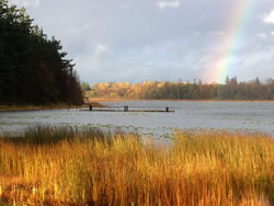 Lake Terrell Unit