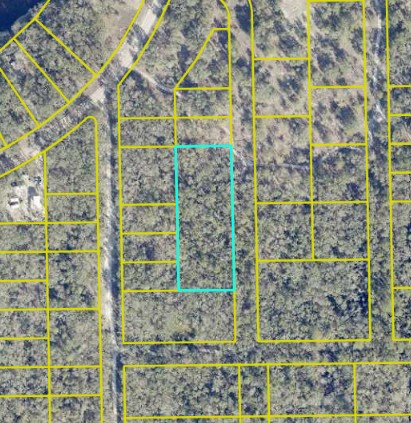 Live Oak, FL hunting land