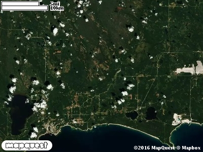 Seney Manistique Swamp