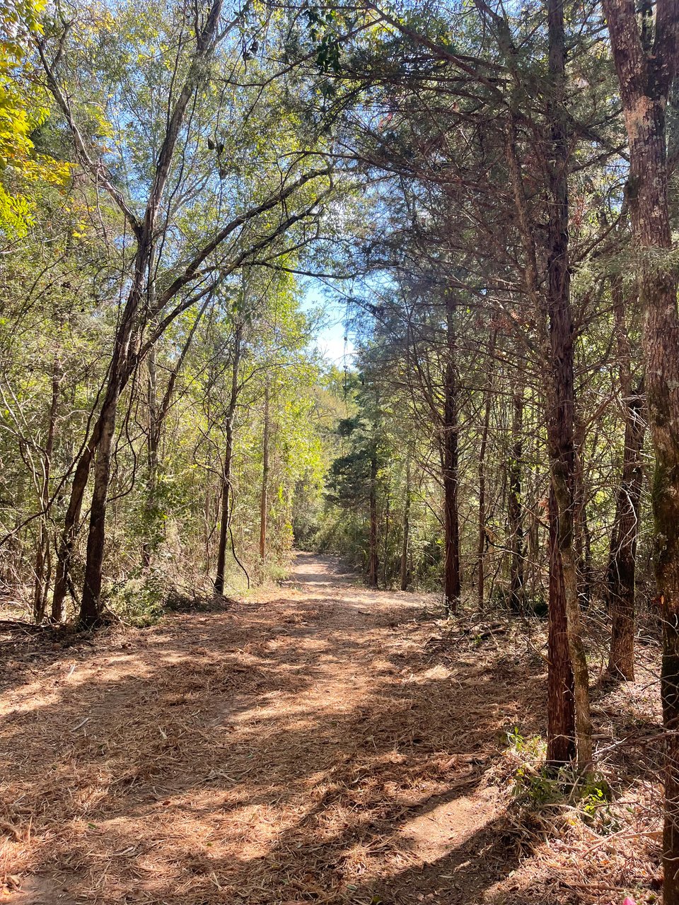 Excellent hunting opportunity Cherokee, Texas